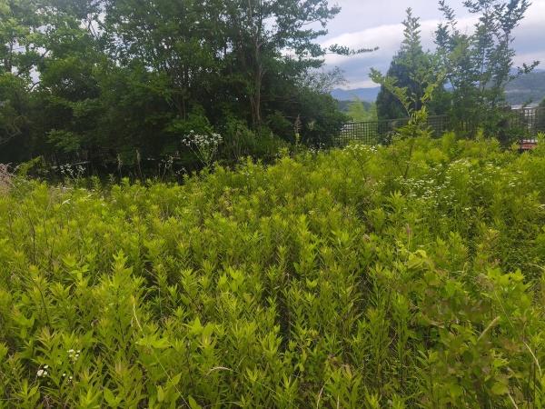 京都市北区西賀茂円峰の土地
