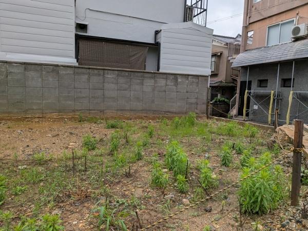 京都市北区紫野西蓮台野町の土地