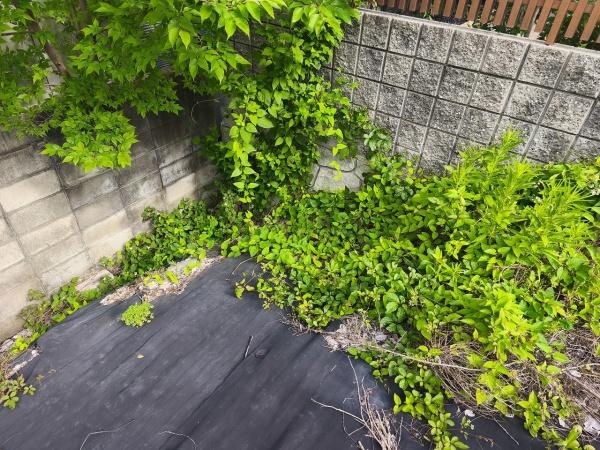 京都市左京区鹿ケ谷桜谷町の土地