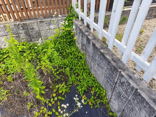京都市左京区鹿ケ谷桜谷町の土地