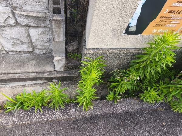 京都市左京区鹿ケ谷桜谷町の土地