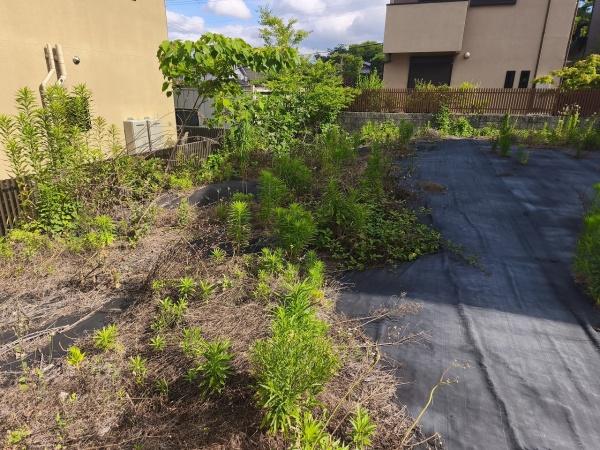 京都市左京区鹿ケ谷桜谷町　建築条件無売土地