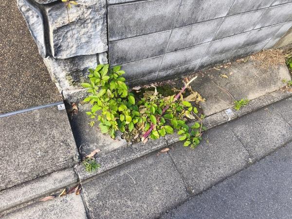 京都市左京区鹿ケ谷桜谷町の土地
