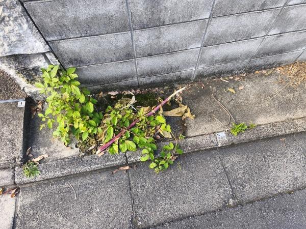 京都市左京区鹿ケ谷桜谷町の土地