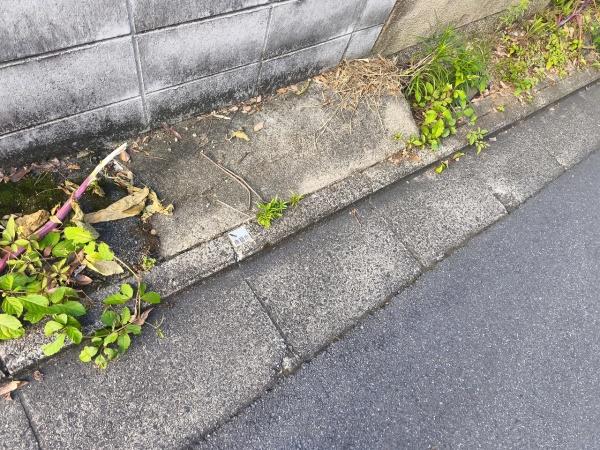 京都市左京区鹿ケ谷桜谷町の土地