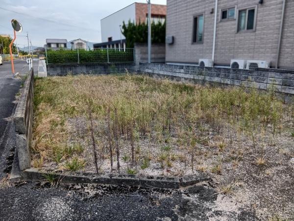 岡山市東区政津の土地