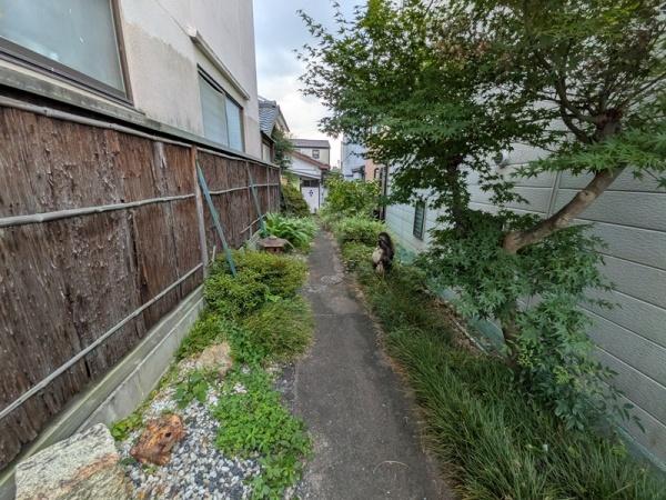 京都市東山区今熊野宝蔵町の中古一戸建て