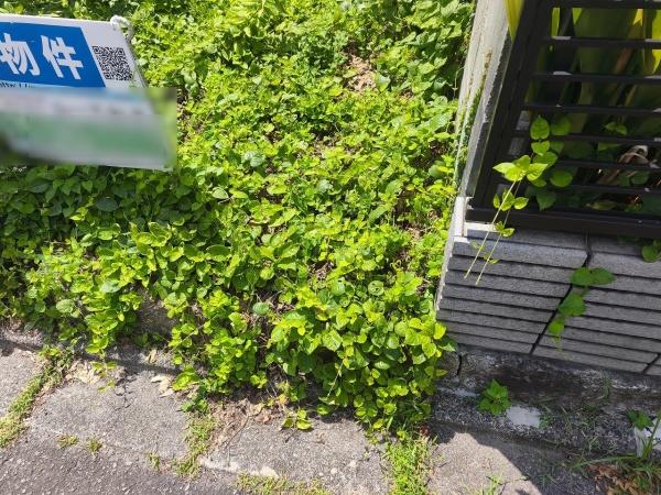 京都市左京区岡崎天王町の土地