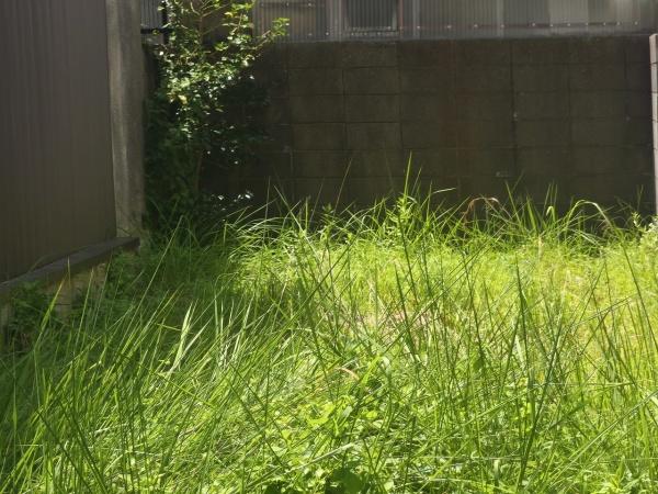 京都市左京区岡崎天王町の土地