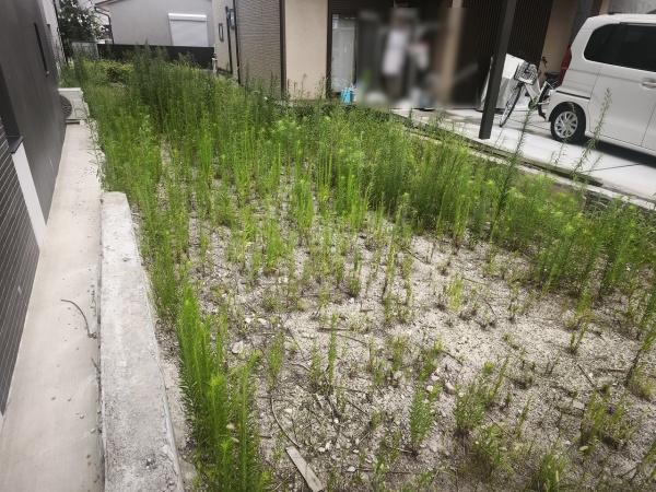 京都市南区四ツ塚町　建築条件無売土地