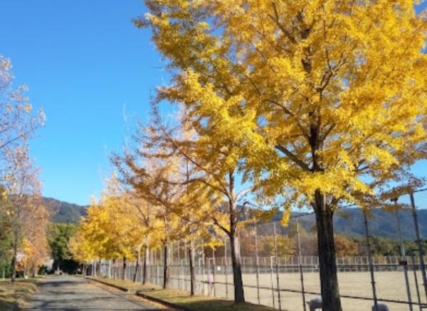 京都市山科区勧修寺東堂田町の中古一戸建て(勧修寺公園)