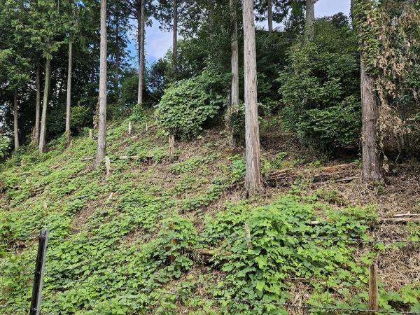 左京区岩倉忠在地町　1棟収益マンション
