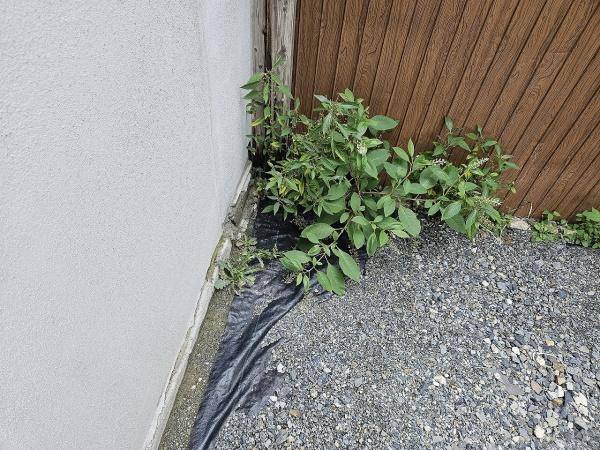 京都市北区小山南大野町　建築条件無売土地