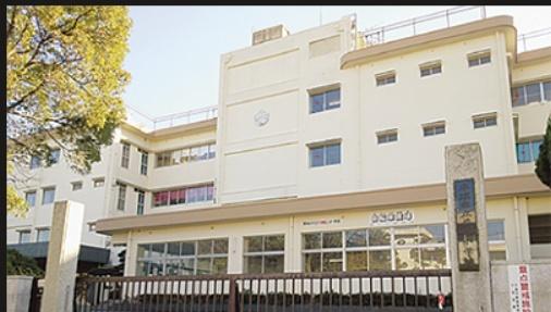 平塚市　菫平4期　新築戸建(平塚市立花水小学校)
