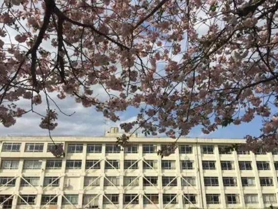 藤沢市宮原の中古一戸建て(藤沢市立中里小学校)