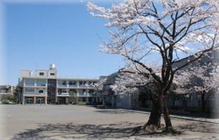 エアヒルズ藤沢　中古マンション(藤沢市立大道小学校)