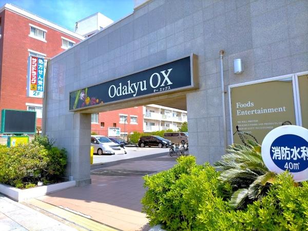 ヴィルヌーブ片瀬江ノ島マリンテラス(OdakyuOX江ノ島店)