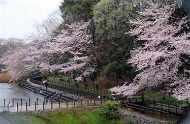 大和市上草柳３丁目の土地(泉の森公園)