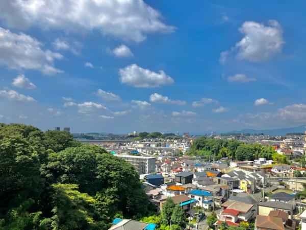 コスモさがみ野８階