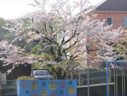 ルネサンス戸塚テラス(上矢部小学校)