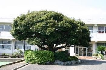 横浜市泉区上飯田町の土地(中和田中学校)