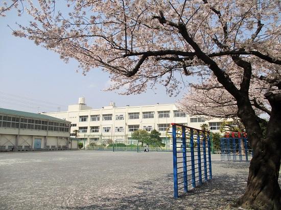 横浜市泉区上飯田町の土地(横浜市立上飯田小学校)