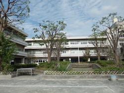 市ドリームハイツ3号棟(深谷中学校)