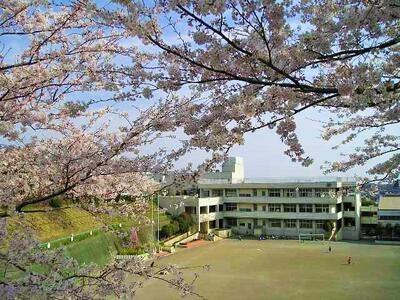 座間市立野台3丁目　新築戸建　A区画(座間市立中原小学校)