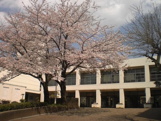 若葉台団地２－４号棟(横浜市立若葉台中学校)