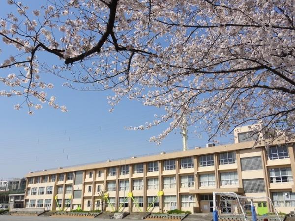 藤沢市大庭の土地(大庭小学校)