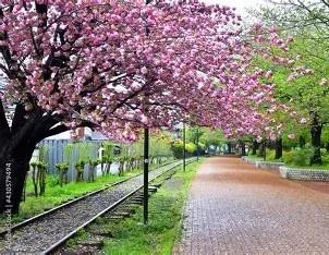 高座郡寒川町一之宮４丁目の土地(一之宮公園)