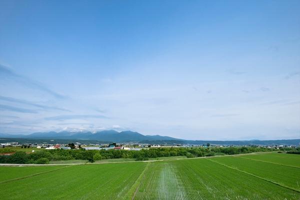 FuranoLookout