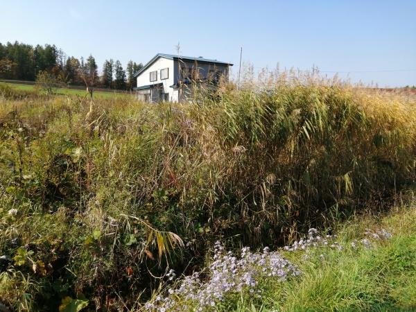 上川郡和寒町字三笠の売土地