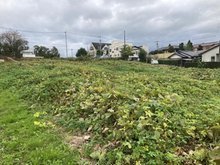 つくば市花室の土地