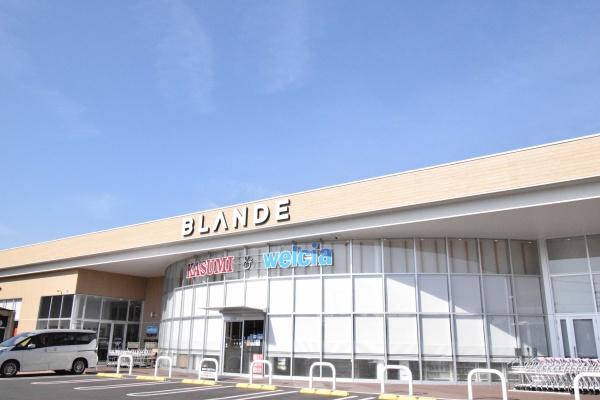 つくば市並木4丁目の中古一戸建て(ウエルシアBLANDEつくば並木店)