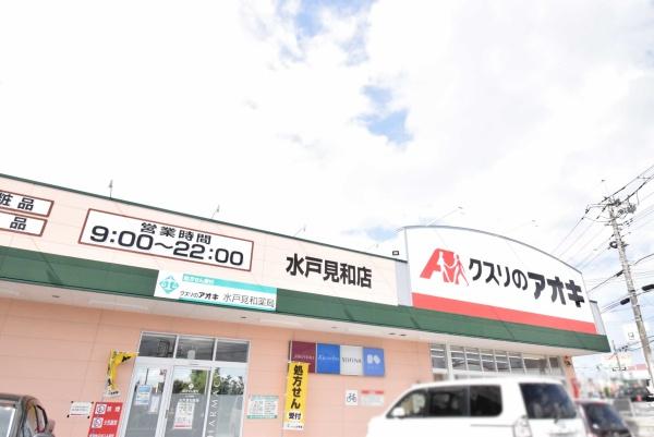 水戸市河和田町の新築一戸建(クスリのアオキ水戸見和店)