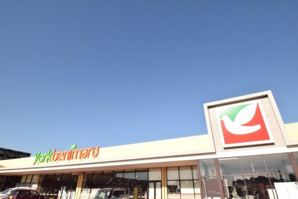 守谷市立沢の新築一戸建(ヨークベニマル守谷店)