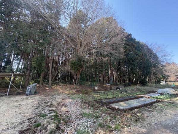 龍ケ崎市松葉１丁目の土地