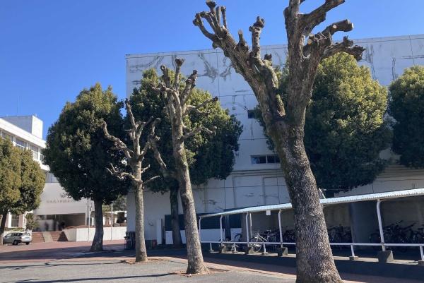 つくば市花園の中古一戸建て(つくば市立竹園東中学校)