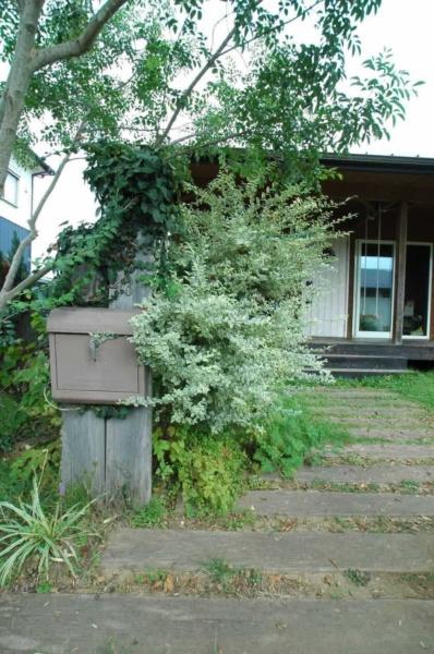 つくば市島名の中古一戸建て(玄関)