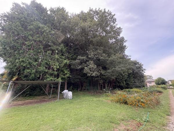 龍ケ崎市松葉１丁目の中古一戸建て