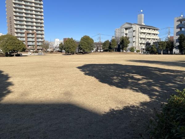 サーパス水戸駅南平和公園(駅南平和公園)