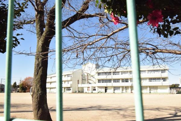守谷市薬師台５丁目の土地(守谷市立大井沢小学校)