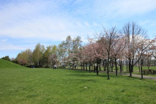 ブルーミングガーデン北区新琴似8条5丁目新築戸建(新琴似グリーン公園)