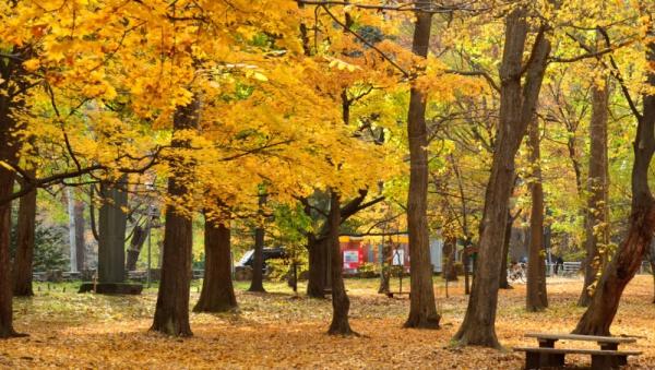 カルム南円山(■円山公園)