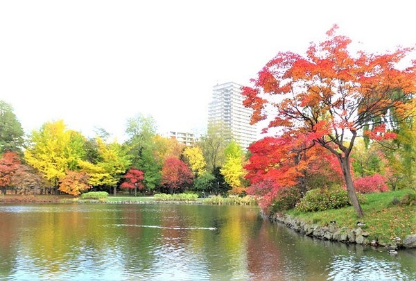 アルファコート二十四軒(中島公園)