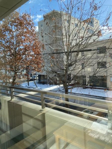 ディーレスティア北9条