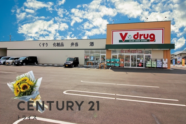 西尾市今川町仲屋敷 K棟(V・drug 西尾今川店)