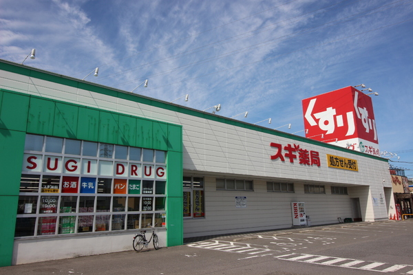 西尾市今川町仲屋敷 K棟(スギ薬局今川店)