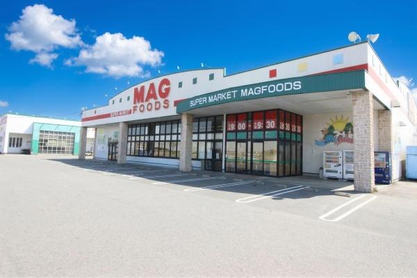 岡崎市中島東町１丁目の土地(マグフーズ中島店)